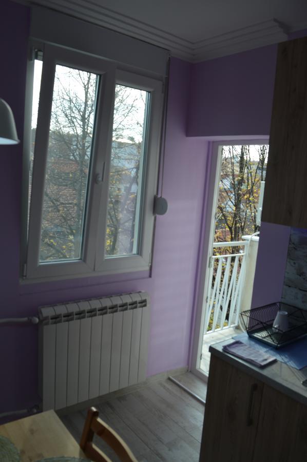 Apartman Gloria 2 ベオグラード エクステリア 写真